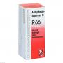 ARRHYTHMIE-Gastreu N R66 Mischung