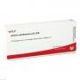 ARTERIA OPHTHALMICA GI D 30 Ampullen