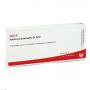 ARTERIA PULMONALIS GL D 12 Ampullen