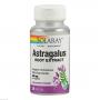 ASTRAGALUS EXTRAKT Solaray Kapseln