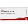 ATROPA belladonna e Radix D 30 Ampullen