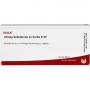 ATROPA belladonna ex Herba D 20 Ampullen