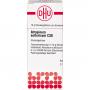 ATROPINUM SULFURICUM C 30 Globuli