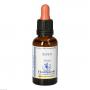 BACHBLÜTEN Aspen Healing Herbs Tropfen