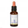 BACHBLÜTEN Centaury Healing Herbs Tropfen