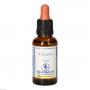 BACHBLÜTEN Cerato Healing Herbs Tropfen