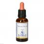 BACHBLÜTEN Cherry Plum Healing Herbs Tropfen