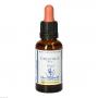 BACHBLÜTEN Chestnut Bud Healing Herbs Tropfen