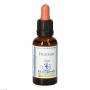 BACHBLÜTEN Heather Healing Herbs Tropfen