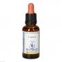 BACHBLÜTEN Larch Healing Herbs Tropfen