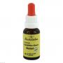 BACHBLÜTEN Murnauer Mustard Tropfen