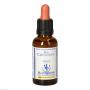 BACHBLÜTEN Red Chestnut Healing Herbs Tropfen