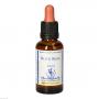 BACHBLÜTEN Rock Rose Healing Herbs Tropfen