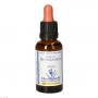 BACHBLÜTEN Star of Bethlehem Healing Herbs Tropfen