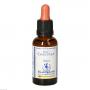 BACHBLÜTEN Sweet Chestnut Healing Herbs Tropfen