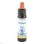 BACHBLÜTEN Vervain Healing Herbs Tropfen
