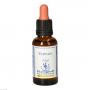 BACHBLÜTEN Vervain Healing Herbs Tropfen