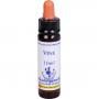 BACHBLÜTEN Vine Healing Herbs Tropfen