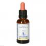 BACHBLÜTEN White Chestnut Healing Herbs Tropfen
