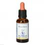 BACHBLÜTEN Wild Rose Healing Herbs Tropfen