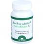 BACILLUS subtilis plus Dr.Jacob's Kapseln
