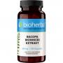 BACOPA Monnieri Extrakt 50 mg Kapseln