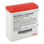 BACTERIUM COLI Injeel Ampullen