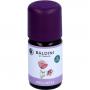 BALDINI Wellness Bio ätherisches Öl