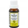 BAPTISIA KOMPLEX Nr.80 Dilution