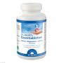 BASENTABLETTEN Dr.Jacob's