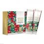 BEERENBLASE Cranberry D Mannose Komplex Pulver