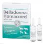BELLADONNA HOMACCORD ad us.vet.Ampullen