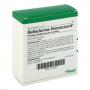 BELLADONNA HOMACCORD Ampullen