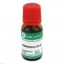 BELLADONNA LM 6 Dilution