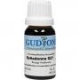 BELLADONNA Q 21 Lösung