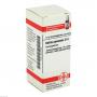 BELLIS PERENNIS D 4 Globuli