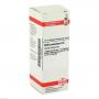 BELLIS PERENNIS D 6 Dilution