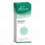 BERBERIS SIMILIAPLEX Mischung BERBERIS SIMILIAPLEX Mischung