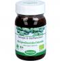 BIO SPIRULINA und Bio Chlorella Tabletten