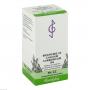 BIOCHEMIE 22 Calcium carbonicum D 6 Tabletten