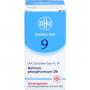 BIOCHEMIE DHU 9 Natrium phosphoricum D 6 Globuli