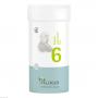 BIOCHEMIE Pflüger 6 Kalium sulfuricum D 6 Tabl.