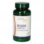 BIOS effect Magen complex Kapseln