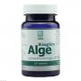 BLAU GRÜNE Alge 250 mg Tabletten