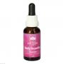 BODY BEAUTIFUL Essence austr.Buschblüten AUB Tro.