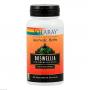 BOSWELLIA EXTRAKT 450 mg Weihrauch Solaray Kapseln