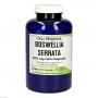 BOSWELLIA SERRATA 200 mg GPH Kapseln