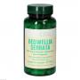 BOSWELLIA SERRATA 200 mg ind.Weihr.Bios Kapseln