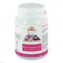 BRAIN SUPPORT 200 Kapseln