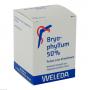 BRYOPHYLLUM 50% Pulver zum Einnehmen